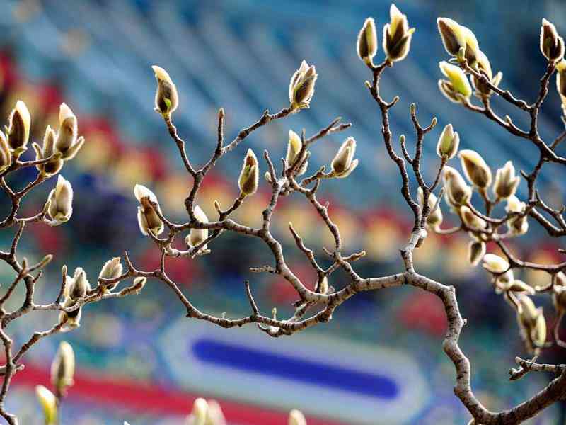 女排亚洲杯2022赛程